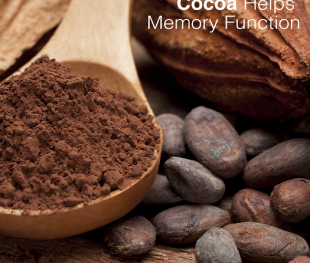 Cocoa Helps Memory Function