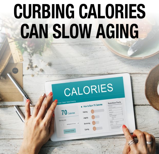 Curbing calories can slow aging