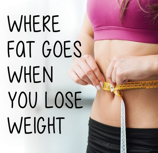 Where fat goes when you lose weight