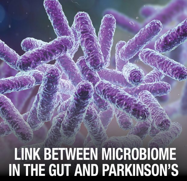Link between microbiome in the gut and parkinson's