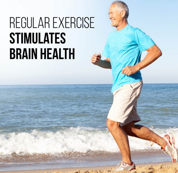 Regular Exercise Stimulates Brain Health