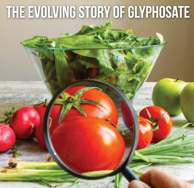 The Evolving Story of Glyphosate