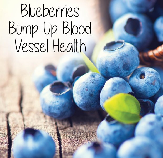 Blueberries Bump Up Blood Vessel Health