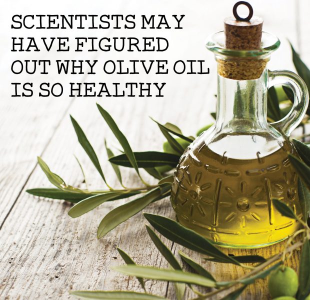 Olive Oil
