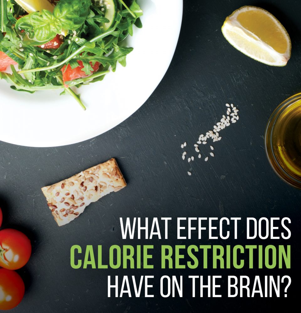 Calorie Restriction and Your Brain